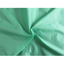 20d Nylon Taffeta Fabric for Down Coat (XSN002)